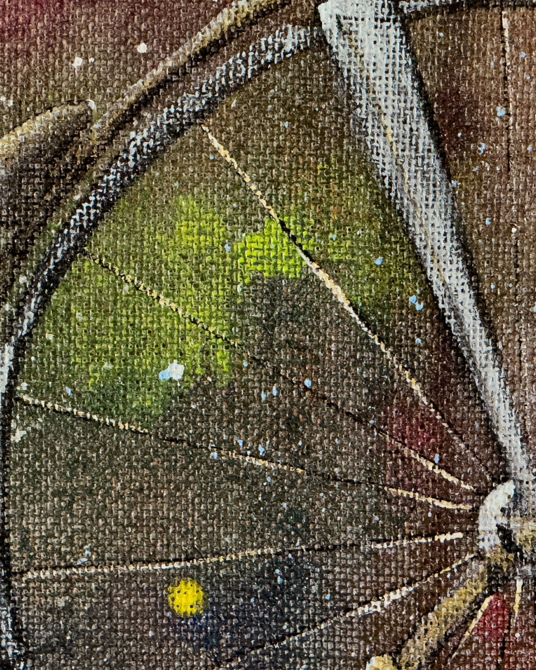 Drasiana bailando / Juan Carlos Jaramillo