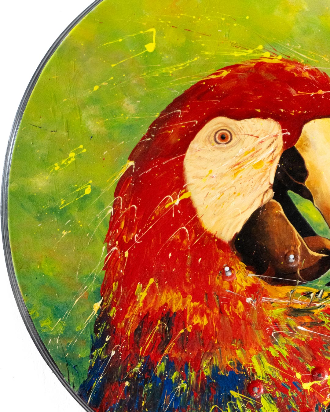 Serie Aves colombianas 3 / Oveimar Viáfara