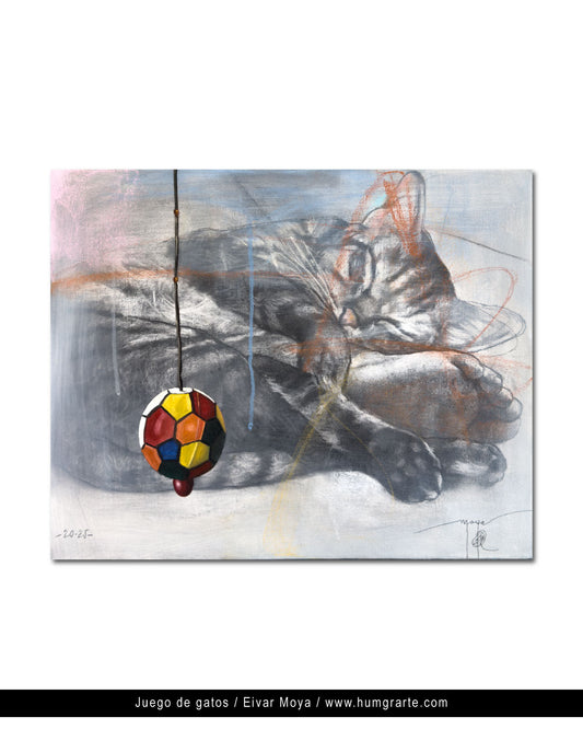 Eivar Moya /  Juego de Gatos