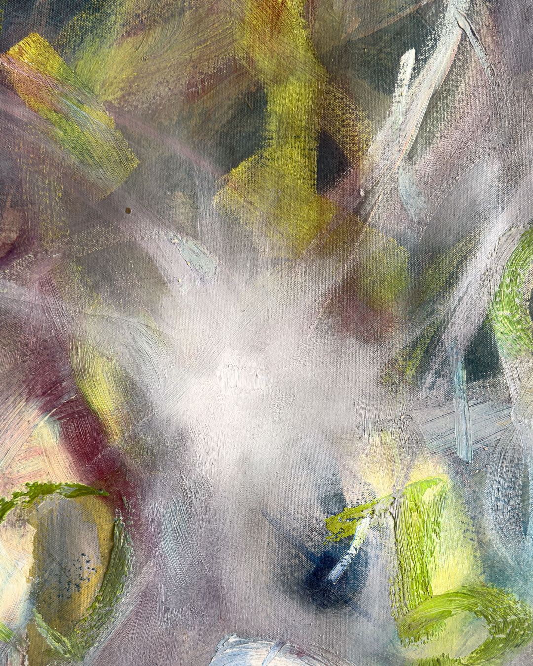 Luces del amazonas /  Juan Carlos Ibáñez