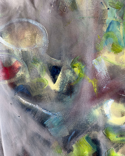 Luces del amazonas /  Juan Carlos Ibáñez