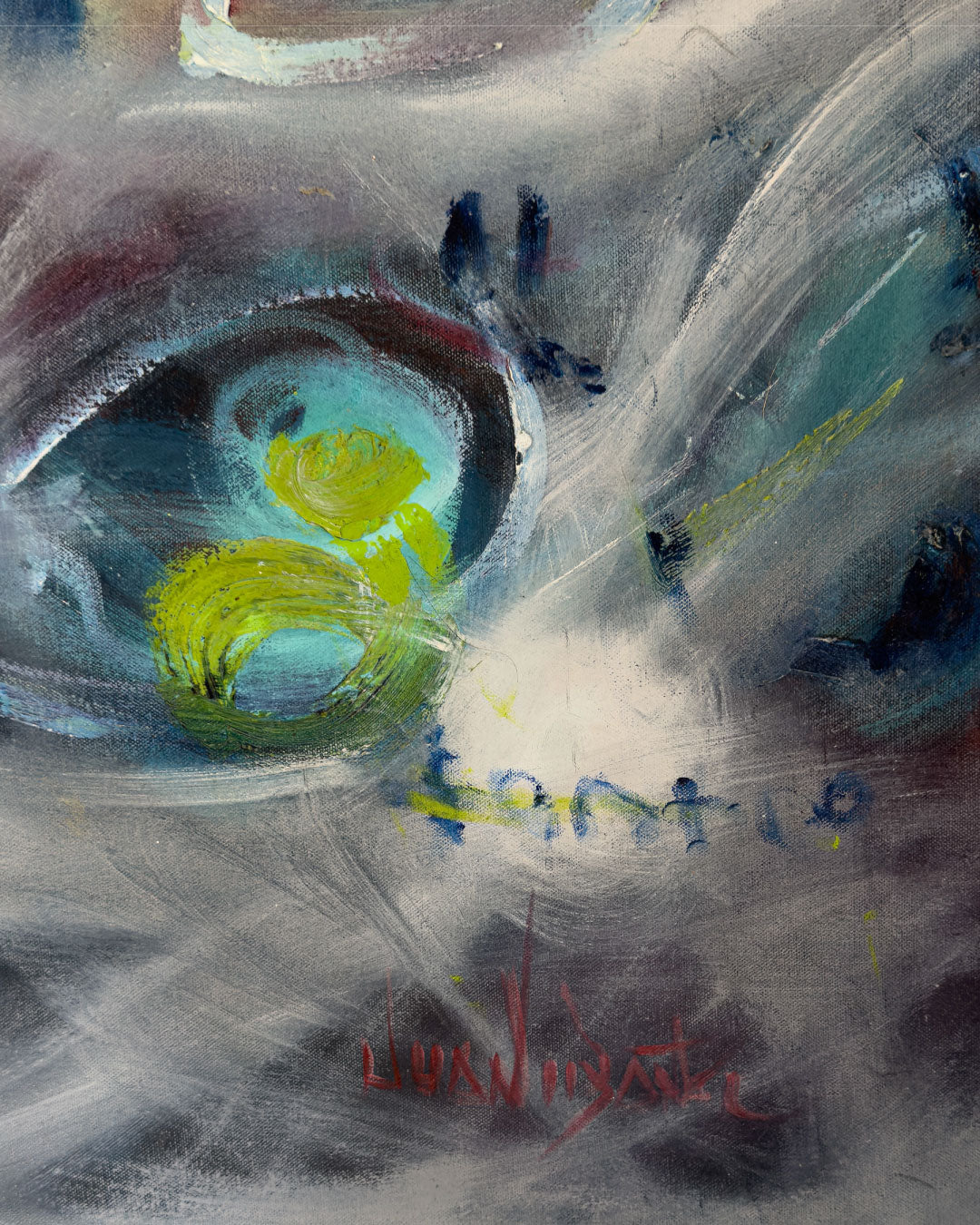 Luces del amazonas /  Juan Carlos Ibáñez