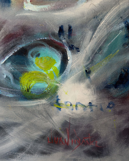 Luces del amazonas /  Juan Carlos Ibáñez