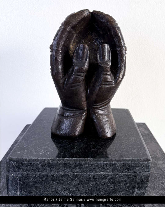 Manos prodigiosas P.A / Jaime Salinas