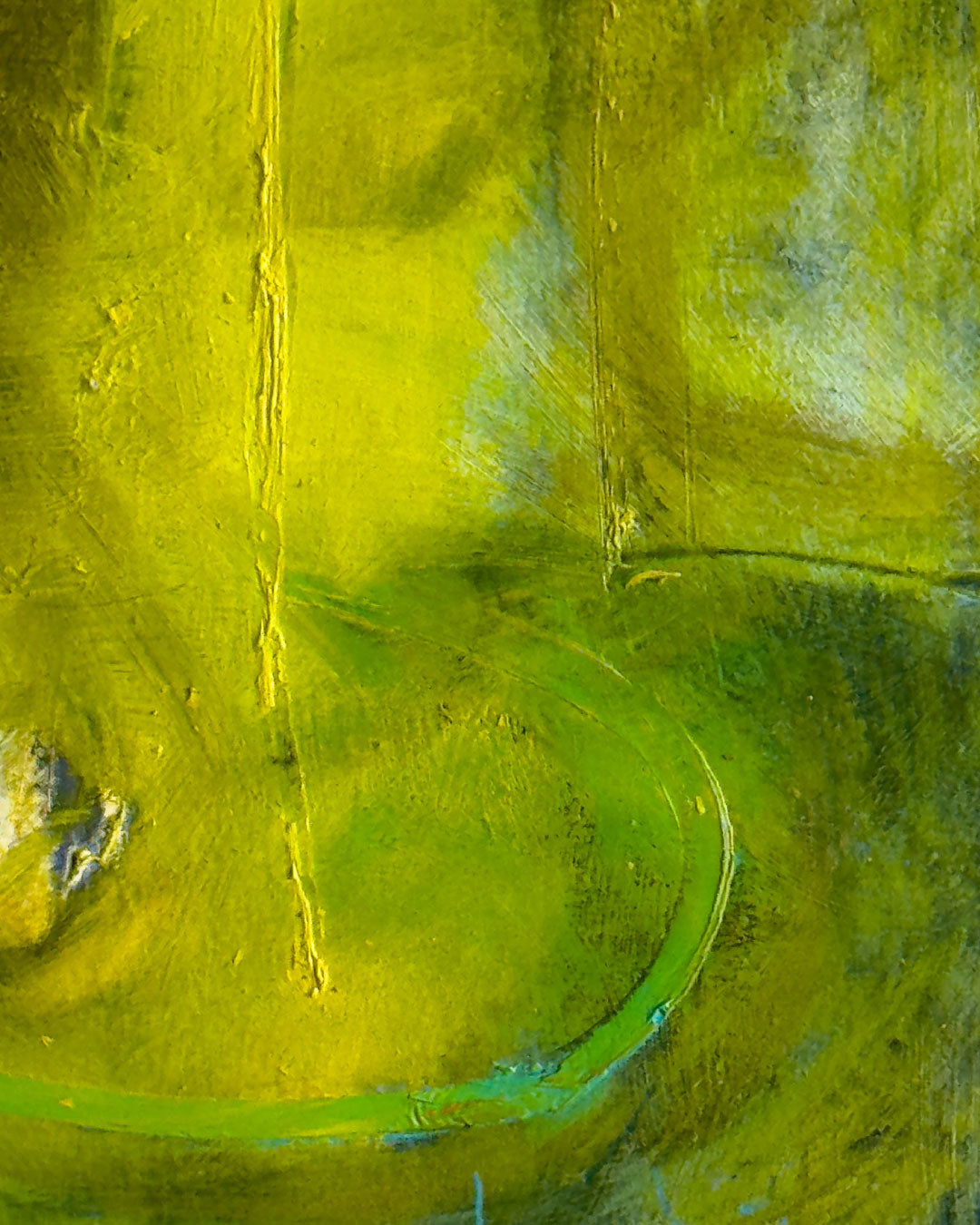 Memorias de un tiempo /  Juan Carlos Ibáñez