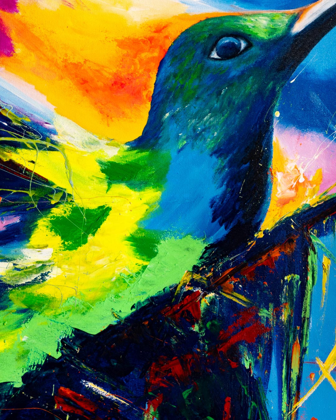 Colibrí guía de nativos / Oveimar Viáfara