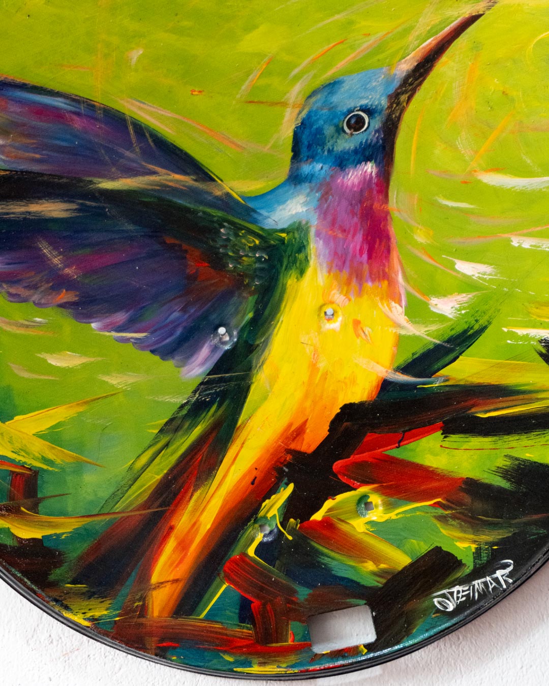 Serie Aves colombianas 2 / Oveimar Viáfara