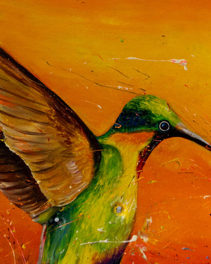 Serie Aves colombianas 1 / Oveimar Viáfara