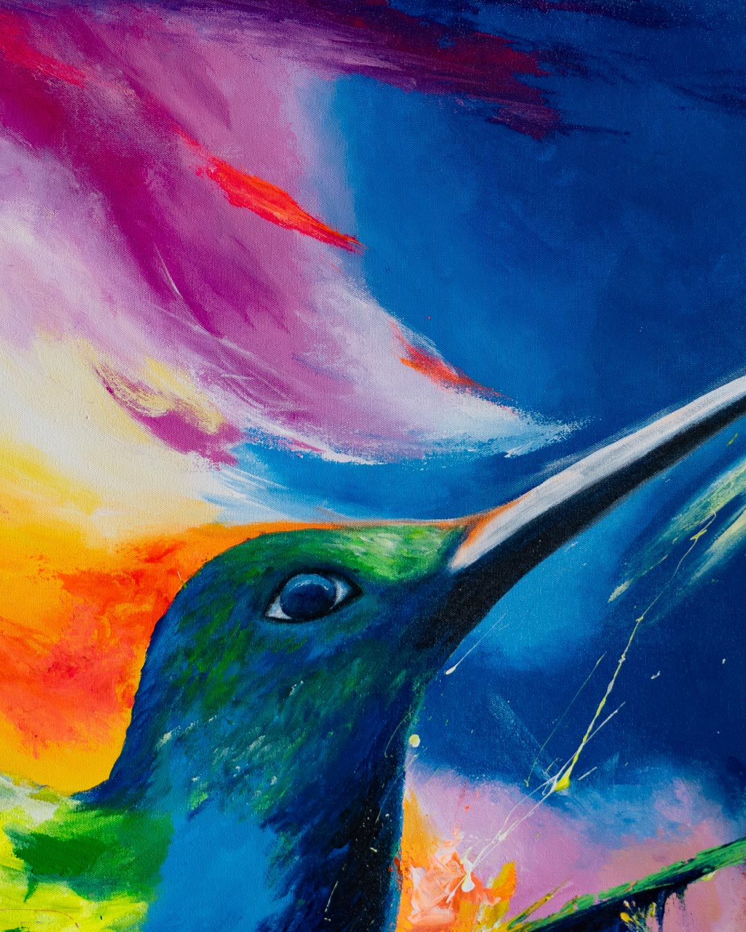 Colibrí guía de nativos / Oveimar Viáfara