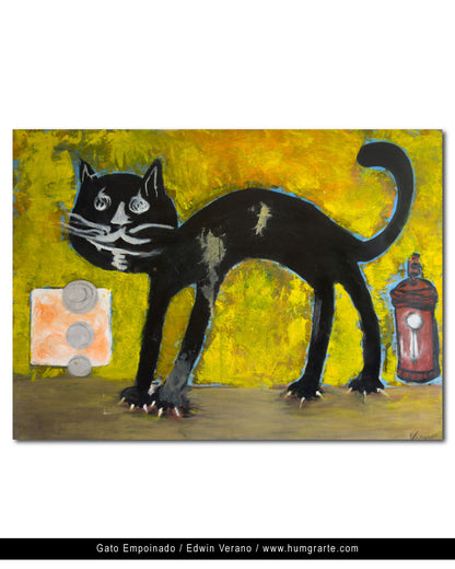 Gato Empinado / Edwin Verano
