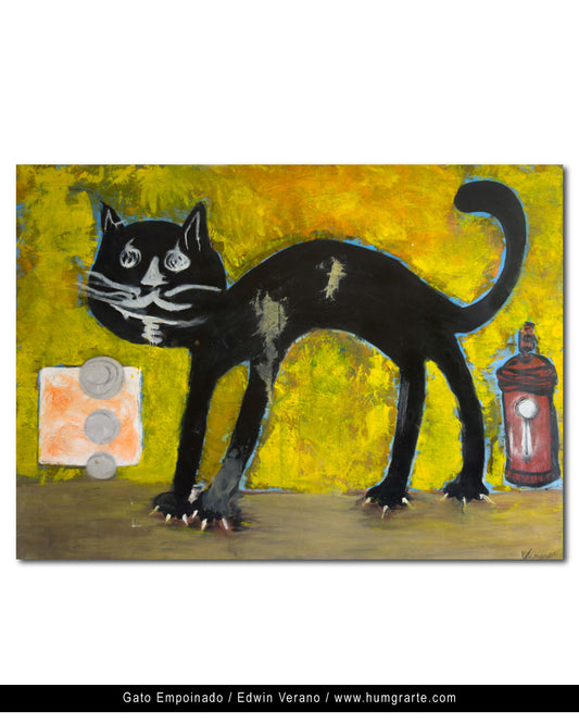 Gato Empinado / Edwin Verano