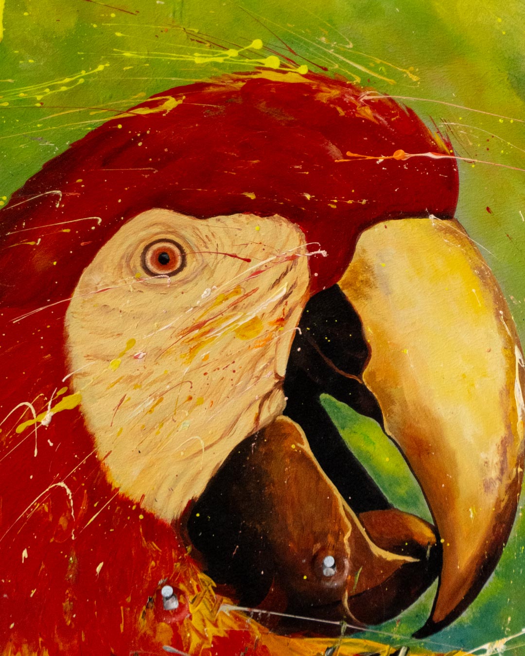 Serie Aves colombianas 3 / Oveimar Viáfara