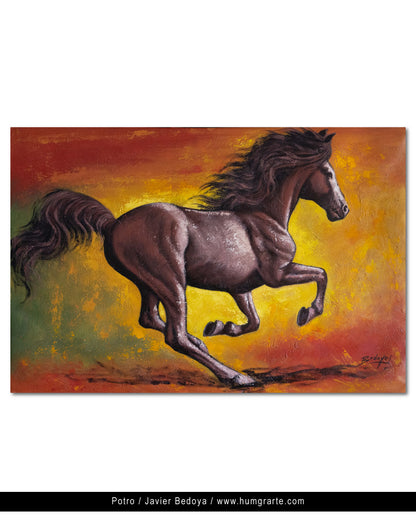 Potro  / Javier Bedoya